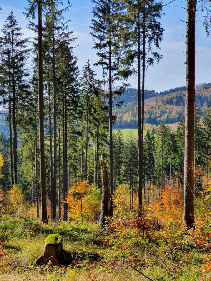 Апартаменты Ksiezycowa Dolina Лёндек-Здруй Экстерьер фото